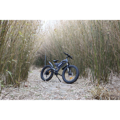 26" 750W Electric Bike Fat Tire 48V 15AH Removable Lithium Battery for Adults