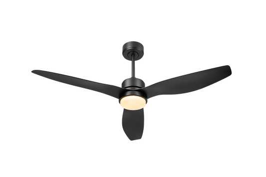 Fan lights