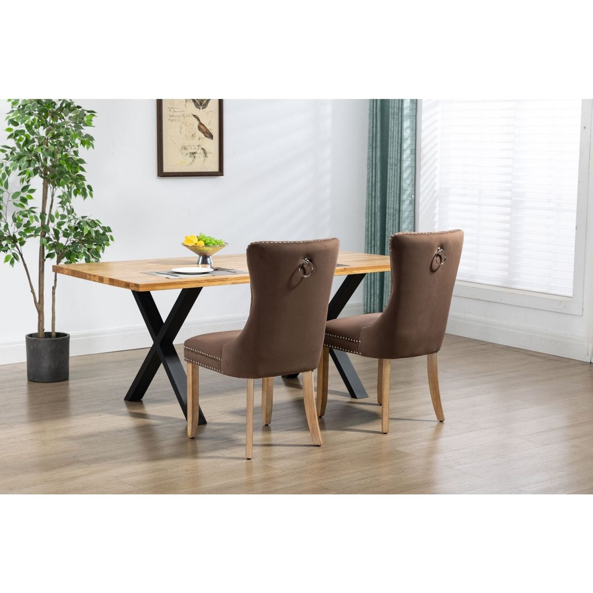 Upholstered Button Tufted Back Brown Velvet Dining Chair with Nailhead Trim and Brushed Solid Wood Legs 2 Sets