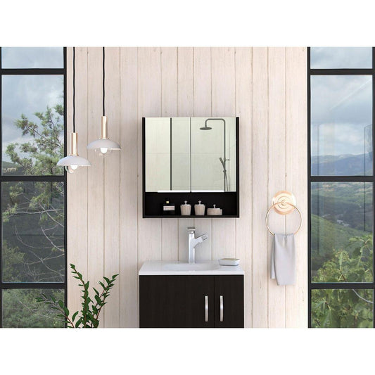 Manchester Rectangle Medicine Cabinet with Mirror Black Wengue