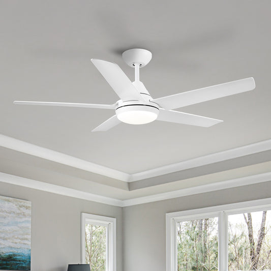 48 In Intergrated LED Ceiling Fan with White ABS Blade