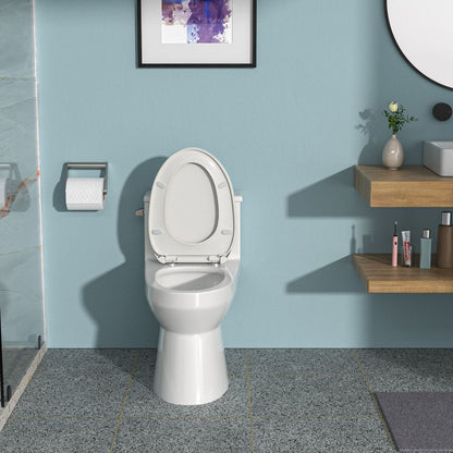 Ceramic One Piece Toilet, Single Flush with Soft Clsoing Seat