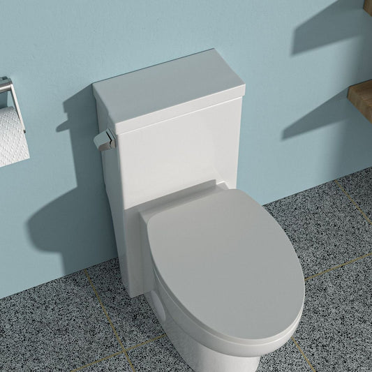 Ceramic One Piece Toilet, Single Flush with Soft Clsoing Seat