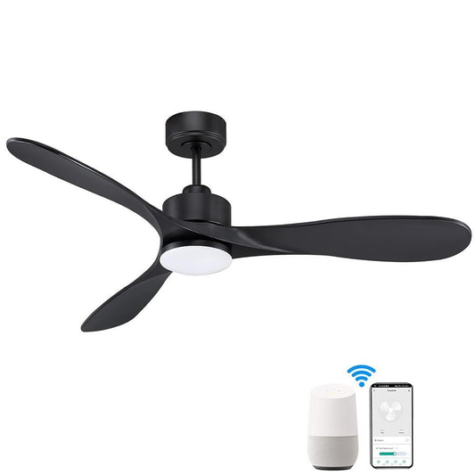 Smart Ceiling Fan