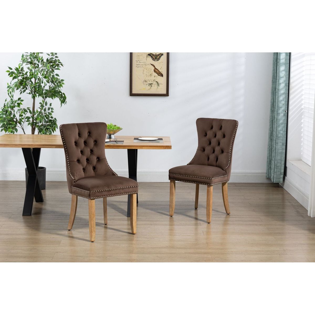 Upholstered Button Tufted Back Brown Velvet Dining Chair with Nailhead Trim and Brushed Solid Wood Legs 2 Sets