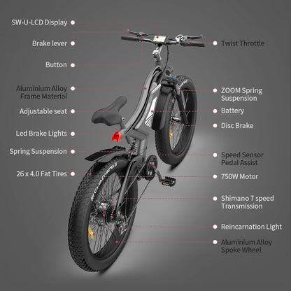 26" 750W Electric Bike Fat Tire 48V 15AH Removable Lithium Battery for Adults