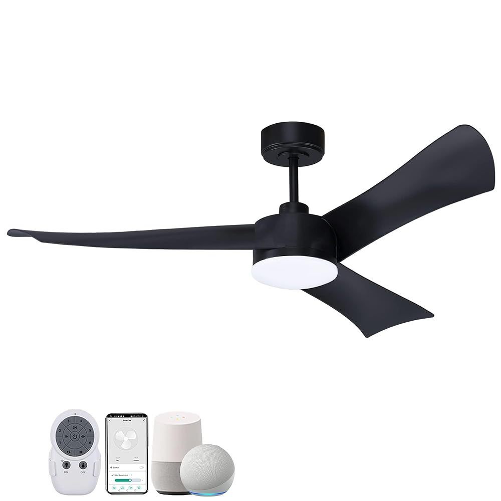 Smart Ceiling Fan