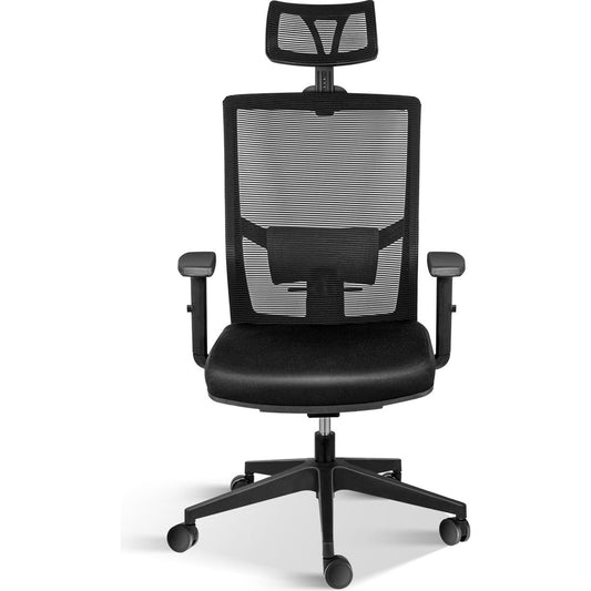 Office Ergonomic Mesh Computer Chair with Wheels & Arms & Lumbar Support, 02B, Black-Pro