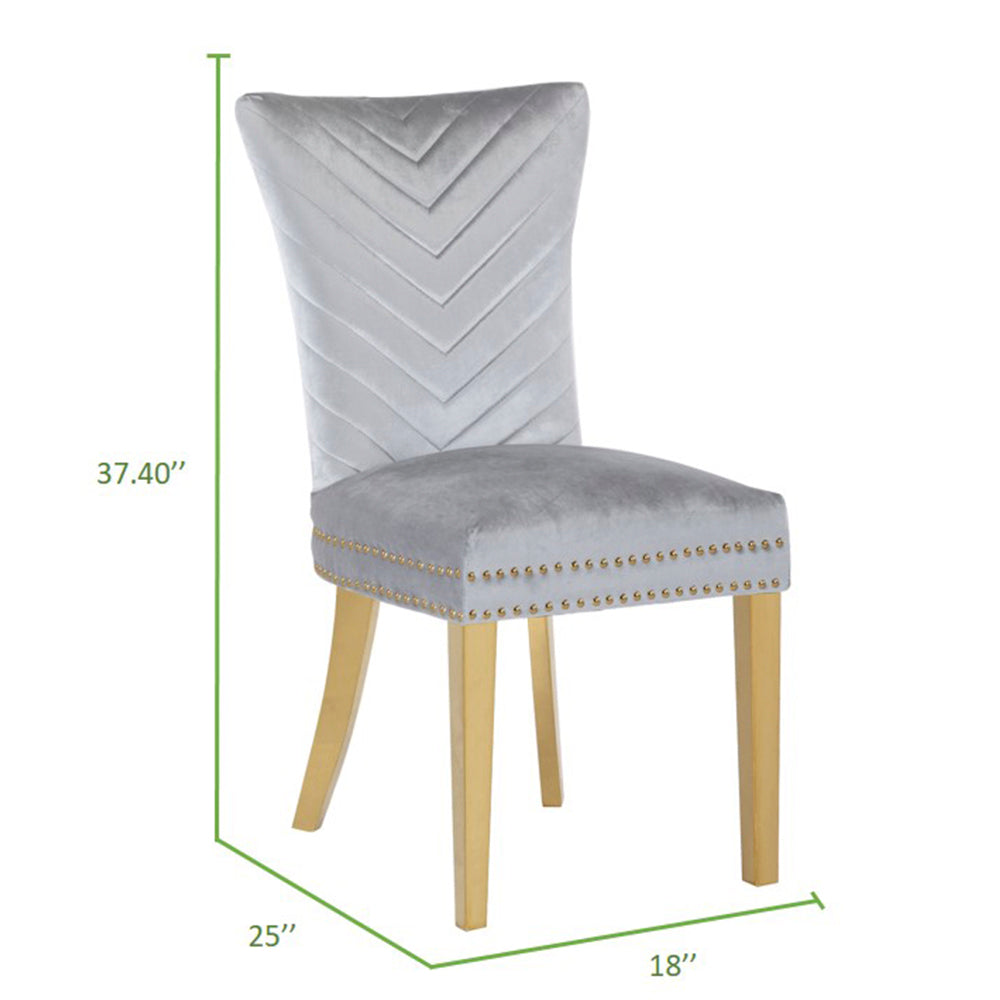 Eva 2 Piece Gold Legs Dining Chairs Finished with Velvet Fabric in Silver