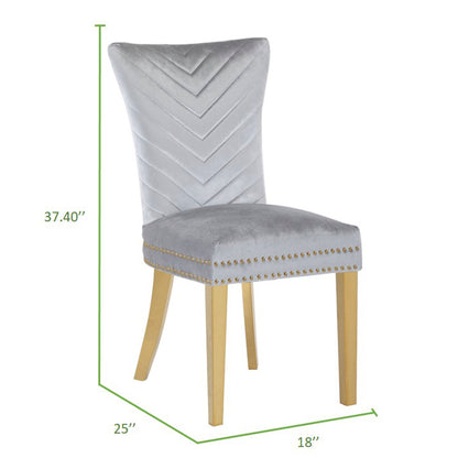 Eva 2 Piece Gold Legs Dining Chairs Finished with Velvet Fabric in Silver