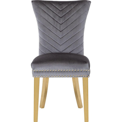 Eva 2 Piece Gold Legs Dining Chairs Finished with Velvet Fabric in Gray