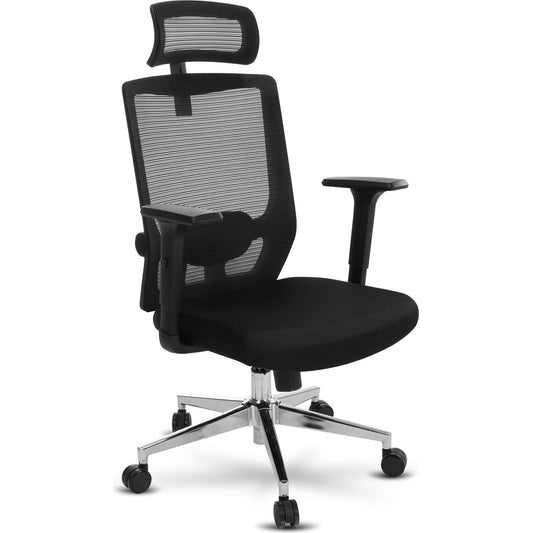 Ergonomic Office Chair with Adjustable Headrest, Lumbar Support, Mesh Desk Chair, Swivel Executive Task Chair, Computer Chair