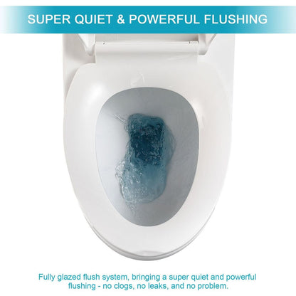 Ceramic One Piece Toilet, Single Flush with Soft Clsoing Seat