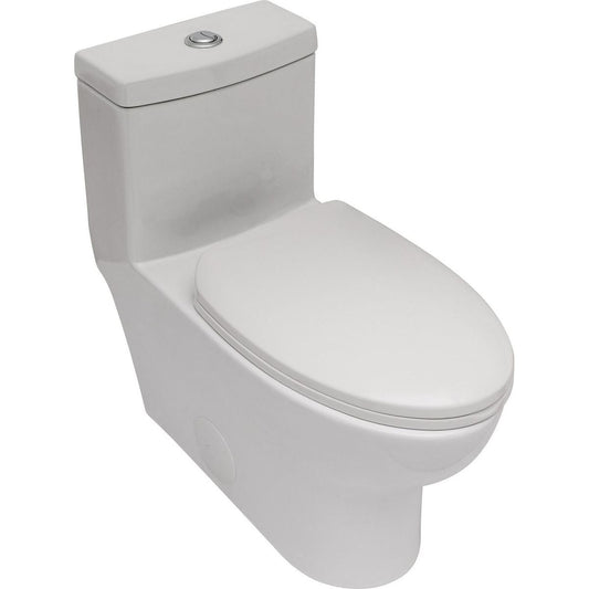 Ceramic One Piece Toilet, Dual Flush with Soft Clsoing Seat