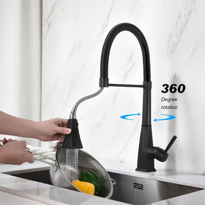 Kitchen Faucet with Pull Down Sprayer