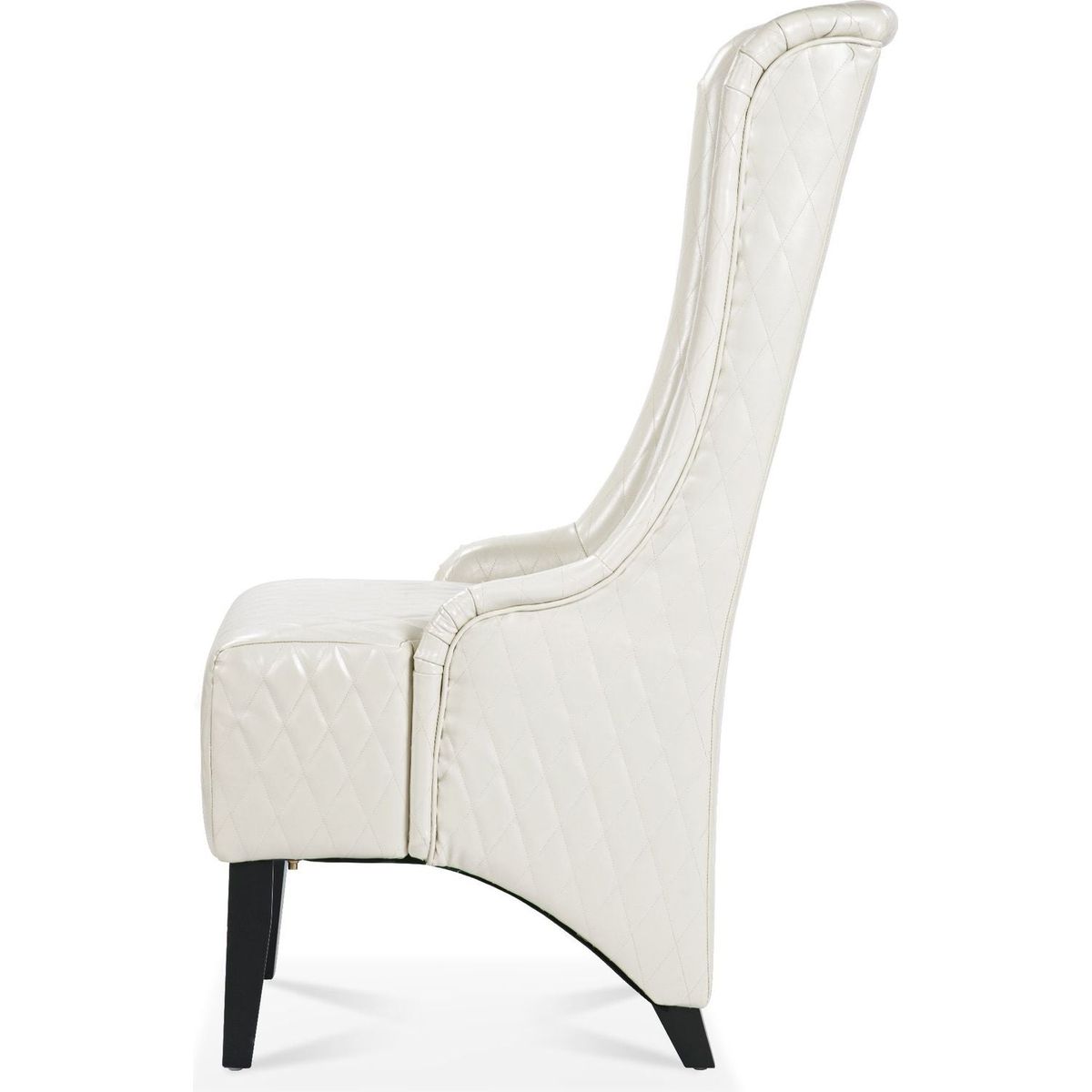 23.03" Wide Wing Back Chair, Side Chair for Living Room