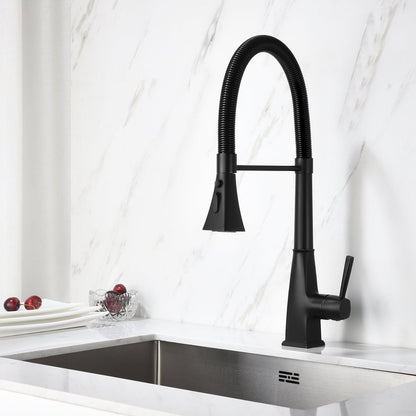 Kitchen Faucet with Pull Down Sprayer