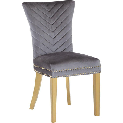 Eva 2 Piece Gold Legs Dining Chairs Finished with Velvet Fabric in Gray