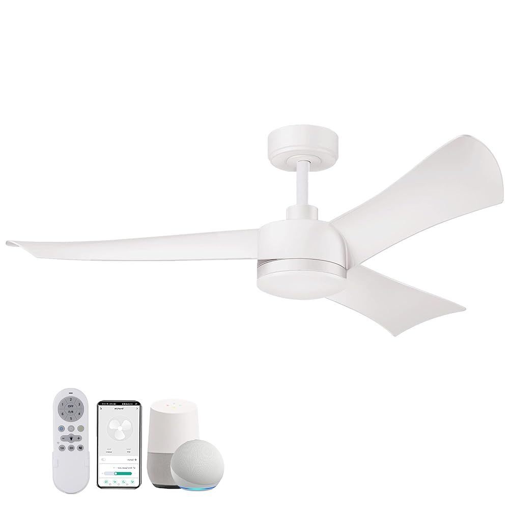 Smart Ceiling Fan