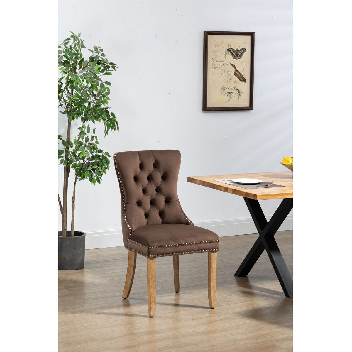 Upholstered Button Tufted Back Brown Velvet Dining Chair with Nailhead Trim and Brushed Solid Wood Legs 2 Sets